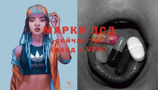 хмурый Сатка