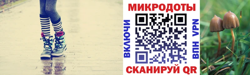 Псилоцибиновые грибы Magic Shrooms  где купить наркоту  Владимир 