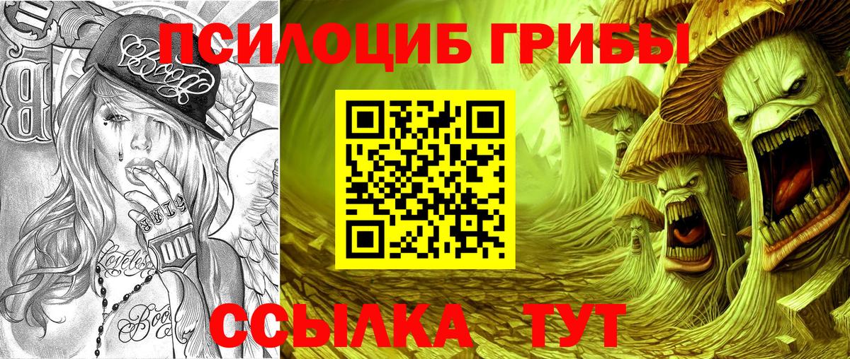 Галлюциногенные грибы Cubensis Владимир
