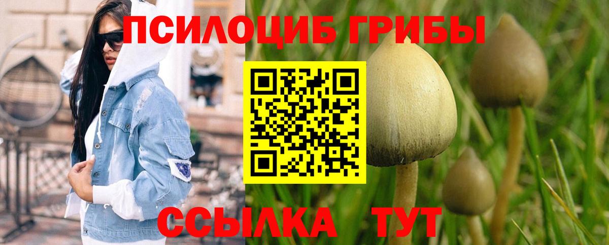 Галлюциногенные грибы мицелий  где можно купить наркотик  Владимир  Псилоцибиновые грибы ЛСД  Вход с VPN 